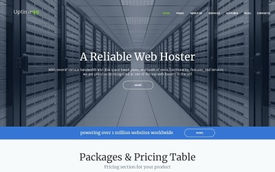"Uptime99 - Web Hosting" 响应式WordPress模板 #61264