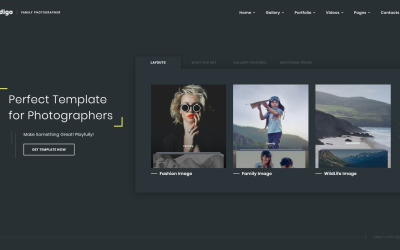 Indigo - Víceúčelová šablona webových stránek HTML pro fotografie a video