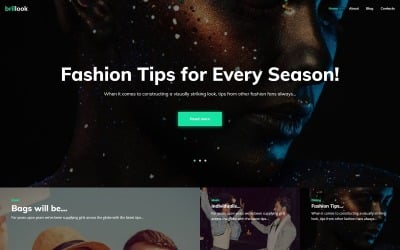 Brillook Lite - Moda Blogu Ücretsiz WordPress teması