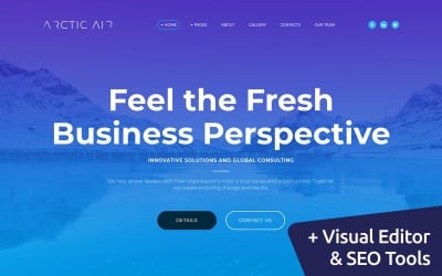Arctic - Business Startup Moto CMS 3 sablon
