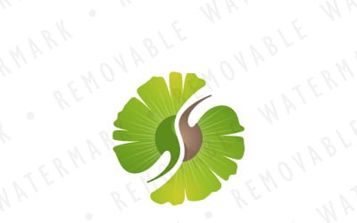 Ginkgo Yin a Yang Logo šablona