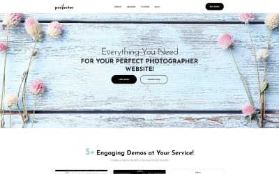 Projector - Photographer Portfolio Multihome WordPress Theme
