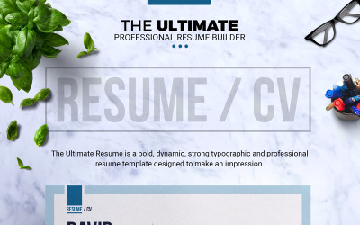 Job / CV Builder mit MS Word Resume Template