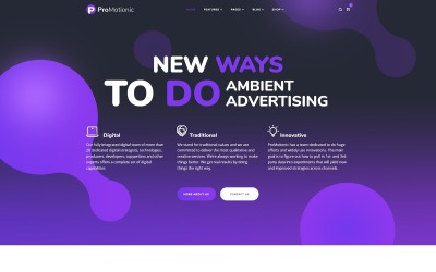 Responsive ProMotionic - Promotion Agency WordPress Theme #67071
