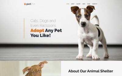 PetInn — адаптивная тема WordPress для благотворительной организации животных и домашних животных