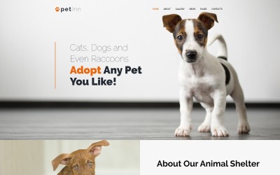 PetInn - Responsive Animals &amp;amp; Pets Charity WordPress-tema