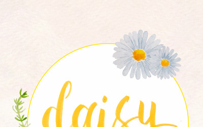 60 akvarell daisy målad grafik - illustration