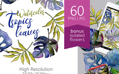 Tropics Leaves PNG Watercolor Set Illustration 67843