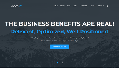 WordPress Theme - Advolix - Consulting Services