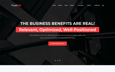 Truston - Business Services WordPress Theme WordPress sablon 68142