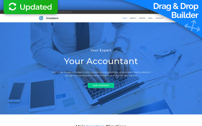 Investero - Accountant Expert №68243