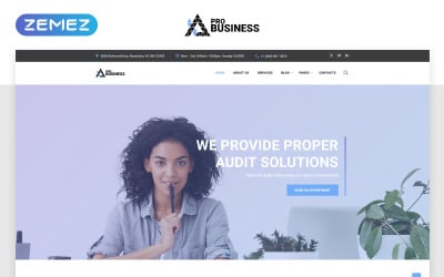 proBusiness - Elegante plantilla de sitio web HTML de varias páginas para empresas de auditoría