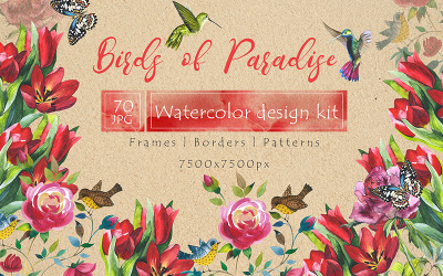 Birds of Paradise JPG Watercolor - Illustration