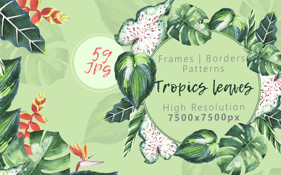 Trópusi levelek JPG akvarell készlet - illusztráció