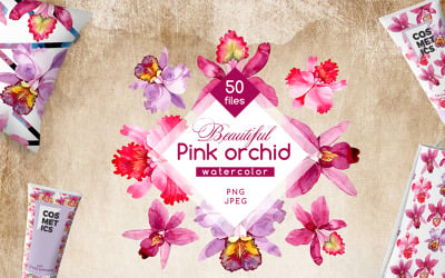 Conjunto de flores em aquarela rosa orquídea PNG - ilustração