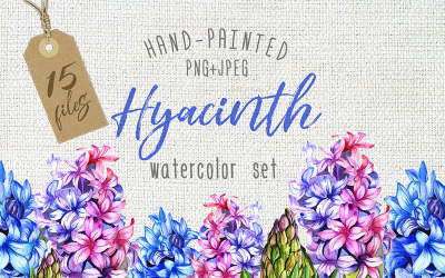 Kleurrijke hyacint PNG aquarel - illustratie