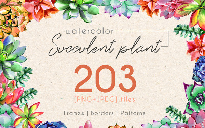 Succulent Plant PNG Watercolor Set - Illustration