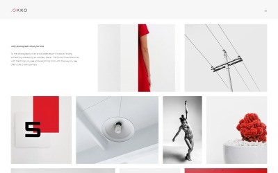 Joomla Vorlage namens ".OKOO - Photographer Portfolio" #69113