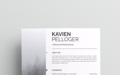 Kavien Pelloger-cv简历模板