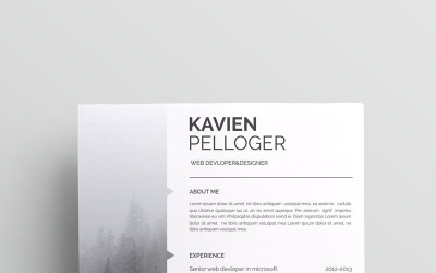 Szablon CV Kavien Pelloger-cv