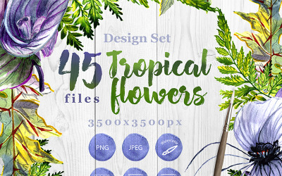 Tropical Flowers PNG Watercolor Set - Illustration