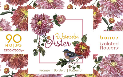 Charming Asters PNG Watercolor Set - Illustration