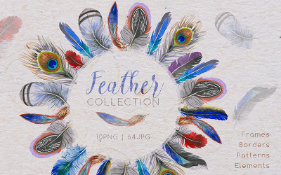 Feather Collection PNG Watercolor Set - Illustration
