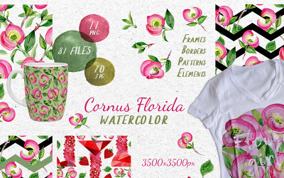 Cornus Florida Flowers PNG akvarel sada - ilustrace