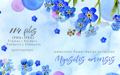 Myosotis Arvensis Aquarelle PNG Set - Illustration