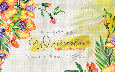 Tropical Yellow Orchid PNG Watercolor Set - Illustration