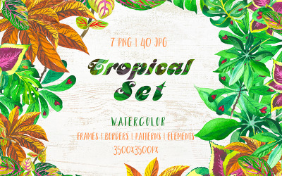 Conjunto tropical exótico aquarela PNG - ilustração