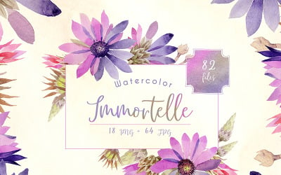 Ensemble d&amp;#39;aquarelle PNG Immortelle violet - Illustration