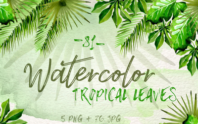 Suluboya tropikal yaprak PNG Set - illüstrasyon