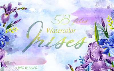 Zarte Aquarell Iris PNG Set - Illustration