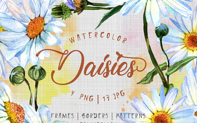 Cool Watercolor Daisies PNG Set - Illustration