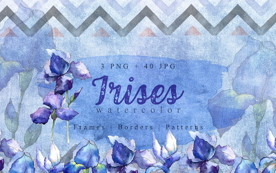 Nice blue irises PNG watercolor set - Illustration