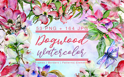 Cool Dogwood kleurrijke bloem PNG aquarel Set - illustratie