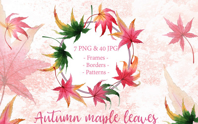 Insieme creativo dell&amp;#39;acquerello delle foglie di acero di autunno PNG - illustrazione