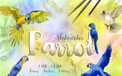 Aquarelle Cool Parrot PNG Oiseau Creative Set - Illustration