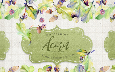 Forest Acorn PNG akvarell kreativ uppsättning - illustration
