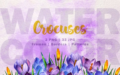 Blue And Purple Crocuses PNG Watercolor Set - Illustration