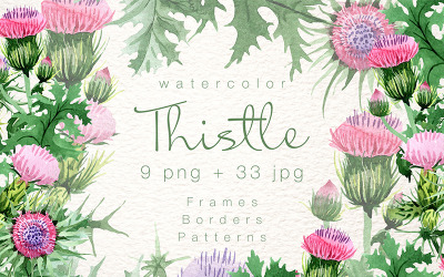 Cool Thistle PNG Acuarela Set - Ilustración