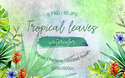 Zöld trópusi levelek PNG akvarell készlet - illusztráció