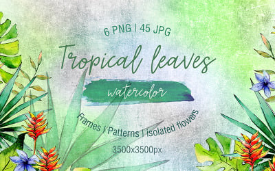 Hojas verdes tropicales PNG Acuarela Set - Ilustración