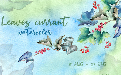 Leaves Currant PNG Watercolor Creative Set - Illustration