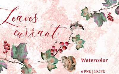 Leaves Currant PNG Watercolor Set - Illustration
