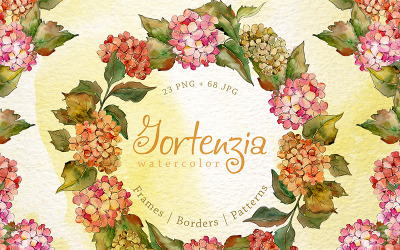 Gortenzia PNG akvarell virág kreatív készlet - illusztráció