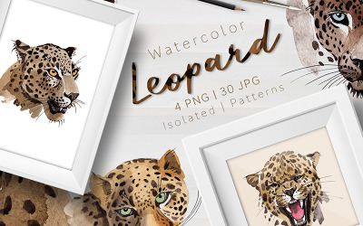 Leopard PNG akwarela zestaw - ilustracja