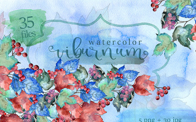 Watercolor Viburnum PNG Leaves Set - Illustration