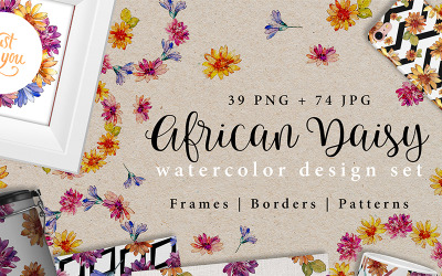 African Daisy PNG Watercolor Design Set - Illustration